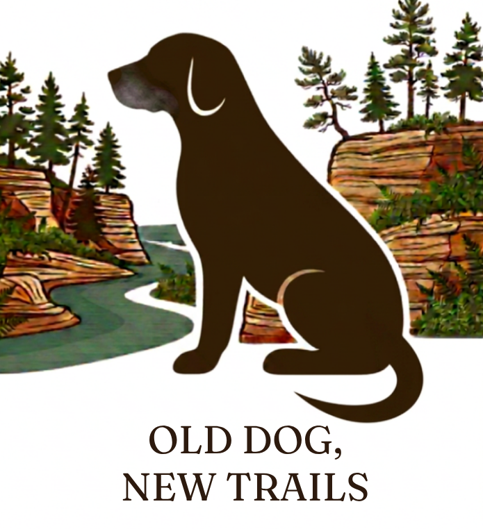 Illustration of a Labrador with a gray muzzle sitting in front of Wisconsin Dells sandstone cliffs and the Wisconsin River, with pine trees and ferns in the foreground.